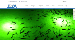 Desktop Screenshot of ningbotop.com